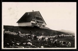AK Le Chasseral, L`Hotel